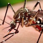 Tips-Melindungi-Bayi-Dari-Gigitan-Nyamuk